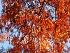 -东钱湖旅游度假区