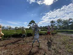 -抚仙湖禄充风景区