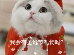 -海底捞火锅(亲贤北街店)