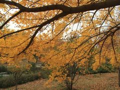 -北京植物园南门售票处