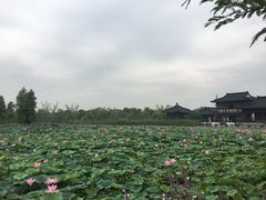 景点-董永七仙女文化园
