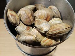 -星伦多自助料理(爱琴海店)