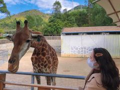 -泉州海丝野生动物世界