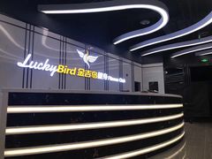 -金吉鸟健身游泳