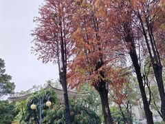 -晓港公园