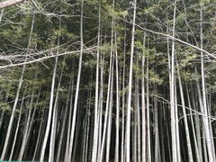 -九龙潭景区
