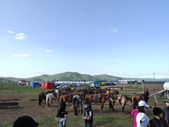 -额尔古纳黑山头绿野马帮骑马场