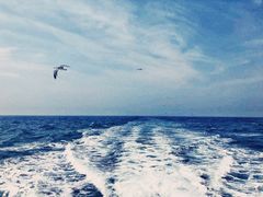 -东极岛景区