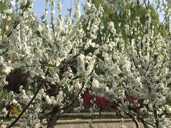 -元大都城垣遗址公园