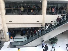 -上海中医药大学附属曙光医院(东部)