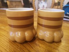 -more than meow吴止猫主题餐厅(承德 中船汇店)