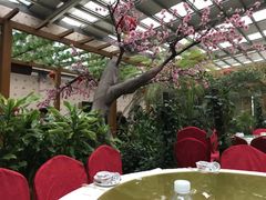 -兴芮温泉度假区