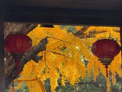 -无锡惠山寺