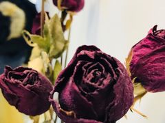 -铁手珈琲制造局metalhands(望京店)