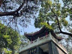 -青龙山国家森林公园