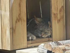 -青藏高原野生动物园