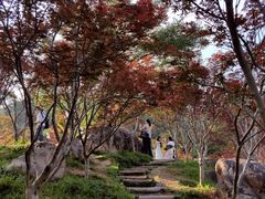 -广州市帽峰山景区
