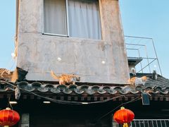 -VOYAGE COFFEE(杨梅竹店)