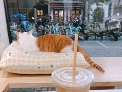 拿铁-W Coffee(船板巷店)