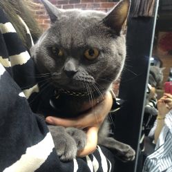 -青木造型HAIR·あおき髪を刈る潮人店