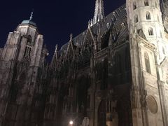 -斯蒂芬主教座堂(Stephansdom)