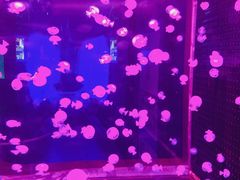 -多彩贵州城极地海洋世界