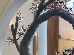-不凡脑禅境·养生·舒压调理SPA(华发世纪城店)