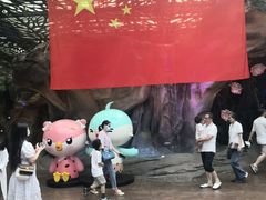 -杭州开元森泊度假乐园