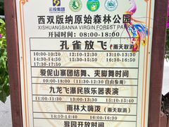 -西双版纳原始森林公园