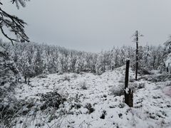 -瓦屋山景区