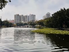 -荔湾湖公园