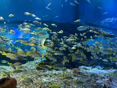 -海合安武汉极地海洋公园