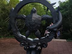 -广东惠东海龟国家级自然保护区