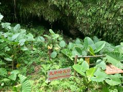 -海口火山口国家地质公园