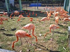 -秦皇岛野生动物园