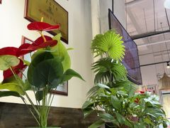 -百年老字号·马家烧麦馆(中街店)