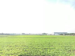 -兰陵国家农业公园