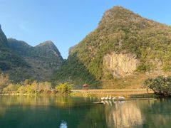 -靖西鹅泉风景区