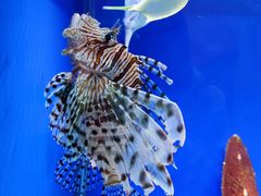 -海合安青岛极地海洋公园