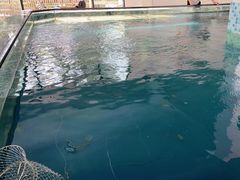 -SHRIMP CLUB万东餐饮钓虾·清吧