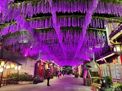 -婺源梦里老家大型山水实景演出