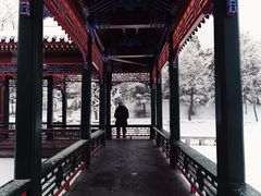 -近春园遗址