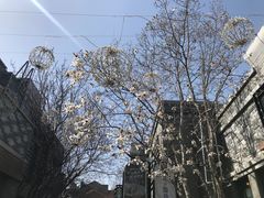 -龙湖星悦荟(颐和店)