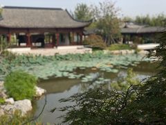 -上海滨江森林公园