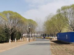 -永定河休闲森林公园