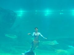 -福州罗源湾海洋世界旅游区