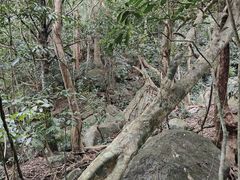 -七仙岭温泉国家森林公园