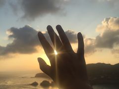 -枸杞岛