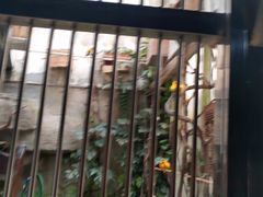 -南昌动物园