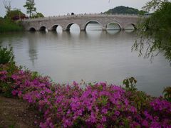 -郑和公园